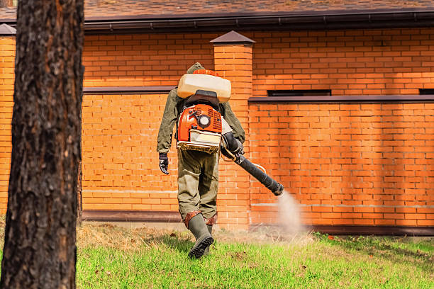 Bed Bug Clearance Verification and Documentation in Redland